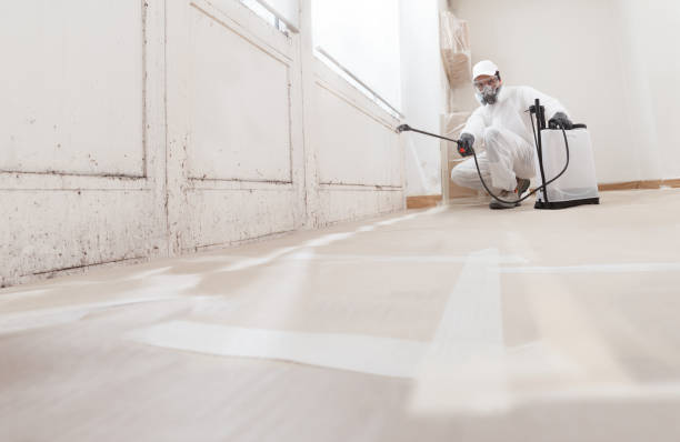 24/7 Emergency Black Mold Remediation experts in Framingham, MA