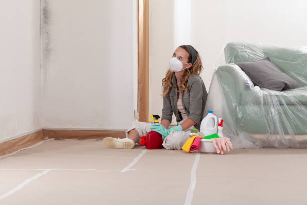 Reliable Black Mold Remediation contractor in Framingham, MA by Car Mold Remediation